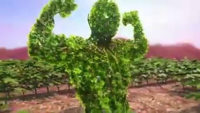 Bayer movento energy Telugu add смотреть онлайн