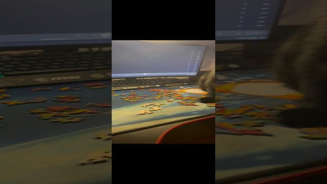 Да мне вообще похер что ты тут делаешь 😂😂😂😂