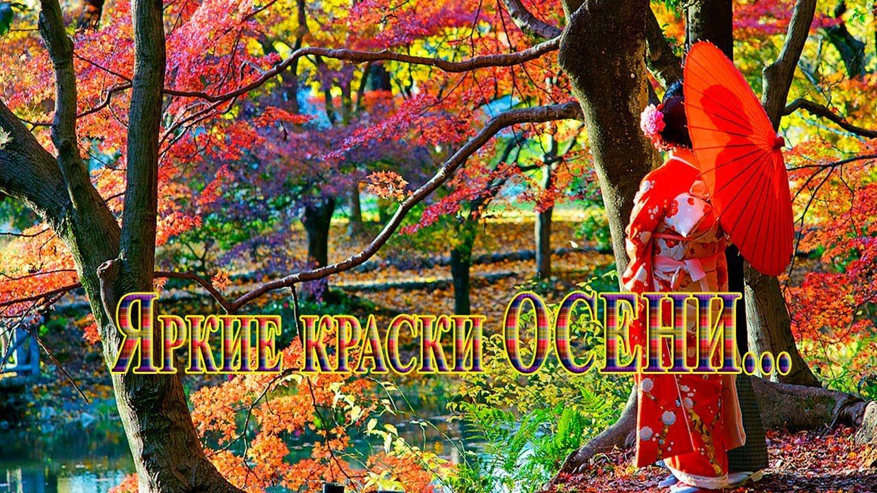 Яркие краски ОСЕНИ*   Япония