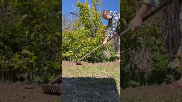 Какие ваши любимые цветы в саду? #деревня #огород #дача #природа #село #сад смотреть онлайн