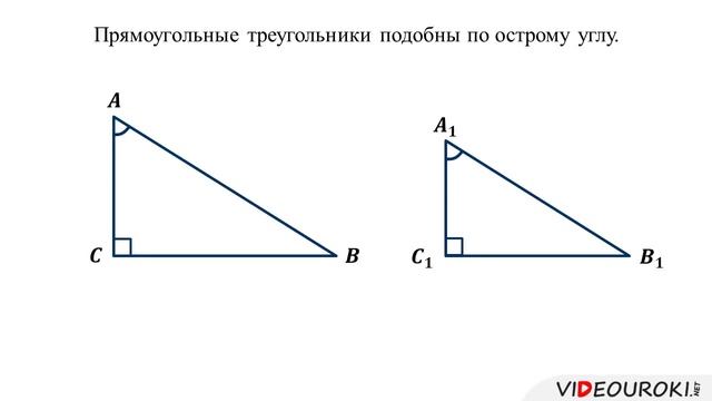 Коэффициент подобия в прямоугольном треугольнике. Подобие прямоугольных треугольников. Признак подобия прямоугольных треугольников по острому углу. Доказательство подобия прямоугольных треугольников. Признаки подобия прямоугольных треугольников.