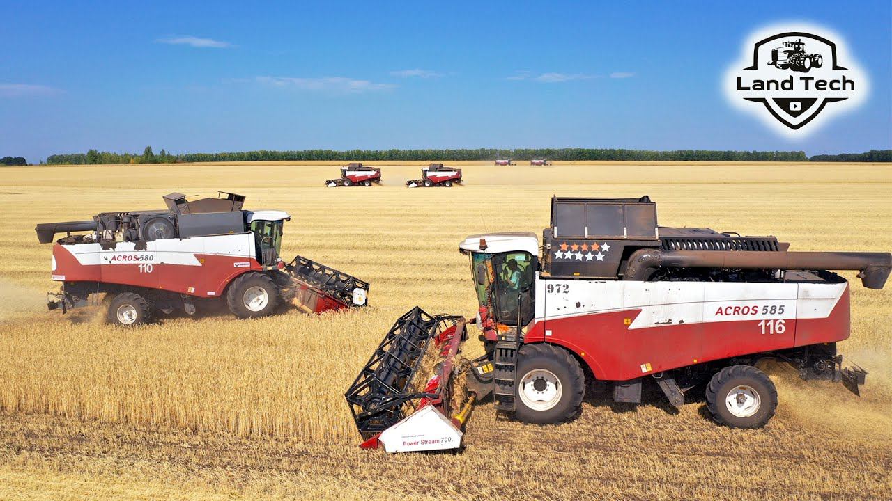 Комбайны Акрос 585 и Акрос 580 - уборка огромных площадей. Опахивание комбайнов на МТЗ-1221 с плугом смотреть онлайн