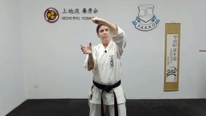 Uechi Ryu Hojo Undo - Hajiki Uke Hiraken Tsuki
