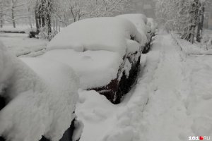 Снежный коллапс в Ростовской области 30 марта 2023 года. Вот такой нынче получился "теплый Алексей"