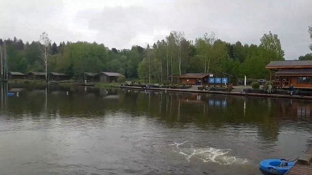 Зарыбление водоема карпом смотреть онлайн