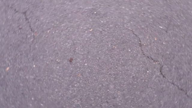 Ford Tourneo Connect 1.6 EcoBoost Titanium Auto 5dr смотреть онлайн