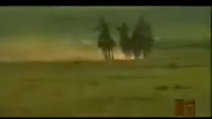 Tsetsegmaa   Taliin mongol ail Бавуудоржын Цэцэгмаа Талын Монгол айл