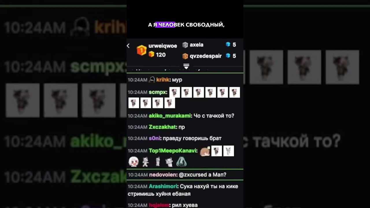 Курсед о важности общения с людьми в жизни смотреть онлайн