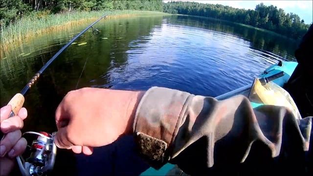 Рыбалка на озере Заслапское Псковской области. Много щуки. смотреть онлайн