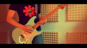 Dani California solo