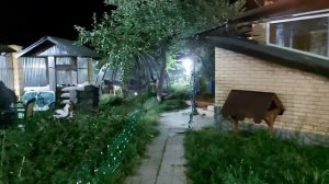 РОДИТЕЛЬСКАЯ ЛЮБОВЬ ПОРОЙ ОПАСНА . ИНГА ХОСРОЕВА . ВЕДЬМИНА ИЗБА ?