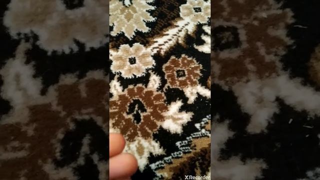 Уход за декоративными крысами\крысой?❤️