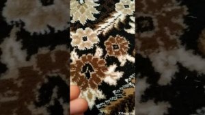 Уход за декоративными крысами\крысой?❤️