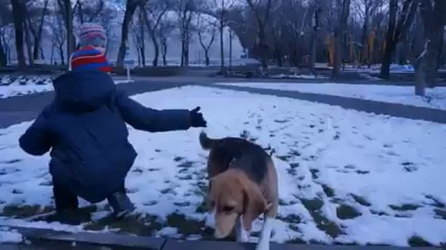 ПРОГУЛКА В ПАРКЕ НА САМОКАТЕ  (Created with @Magisto)