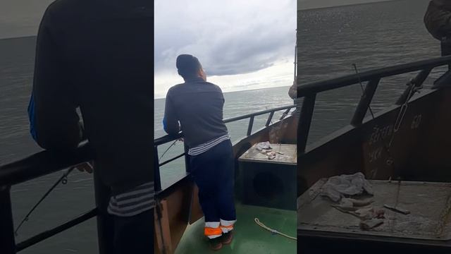 Рыбалка в Карском море.Байдарадская губа. смотреть онлайн