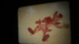 Кинопроектор "Луч-2"