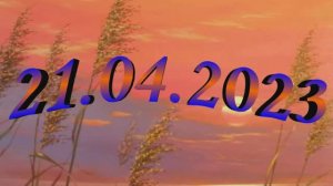 Пшеничка. 21.04.2023