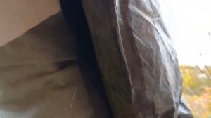 Укрытие ежевики на зиму, без пригибания. Секреты выращивания!