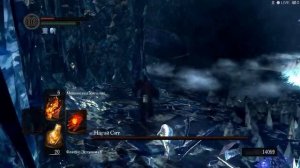 Dark Souls - Простой способ отрубить хвост Ситу и убить (NG+)