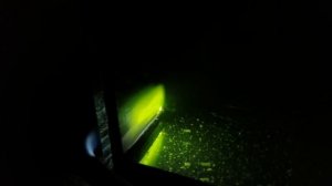 Разведение креветки Амано | Личинки задерживаются