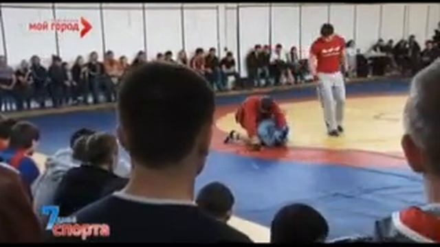 Репортаж ТК Мой город с соревнований по Боевому самбо смотреть онлайн