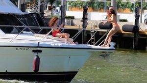 WILD CREATURES REACTION TO THE CAMERAS !! MIAMI RIVER BOATS | BOAT ZONE