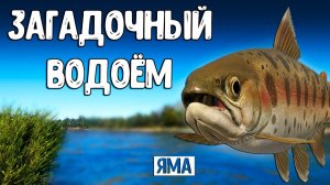 RF4 ЭТО НЕВЕРОЯТНО ЧТО ТАК ПОЛУЧАЕТСЯ  #рр4