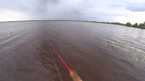 Залезли в дебри! Рыбачим с лодки на мелководье! Окуня Из под куста долбим) р.ЛАМБАДА! Рыбалка 2023г