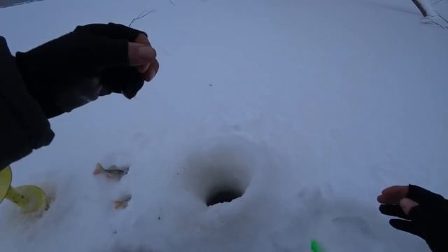 Пробурил ЛУНКУ в ПОДВОДНЫХ КОРЯГАХ и ВОТ ОН | Подобрал уловистый балансир | Зимняя рыбалка 2021 смотреть онлайн