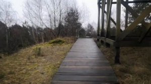 Экскурсия на Куршскую косу в Зеленоградске | ТАНЦУЮЩИЙ ЛЕС | Высота Эфа и ПЕСЧАНЫЕ ДЮНЫ