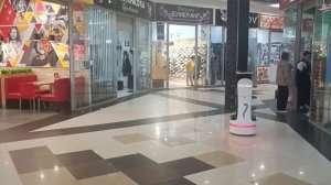Робот официант Жар Кусь на базе BellaBot