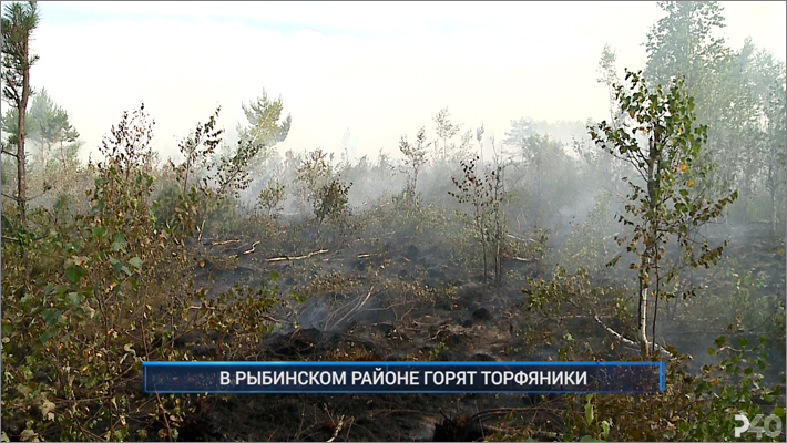 Рыбинск-40. В РЫБИНСКОМ РАЙОНЕ ГОРЯТ ТОРФЯНИКИ