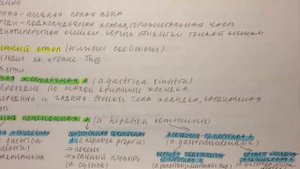 Билет 073. БРЮШНАЯ АОРТА, ТОПОГРАФИЯ. НЕПАРНЫЕ ВИСЦЕРАЛЬНЫЕ ВЕТВИ.