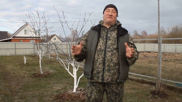 КУРИННАЯ АНОРЕКСИЯ. РЕШАЕМ ПРОБЛЕМУ. смотреть онлайн