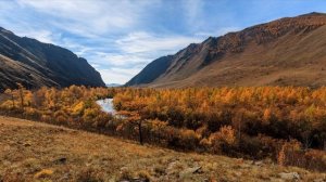 ♫ Fariborz Lachini - "Autumn In My Heart" (Осень в моем сердце)