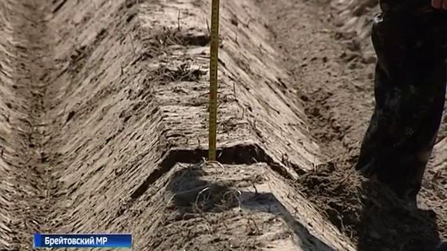 Картофелеводство - одно из приоритетных направлений в развитии сельского хозяйства региона смотреть онлайн