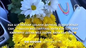 Самые теплые слова для мамы?(озвучка на Чеченском)