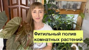 Фитильный полив комнатных растений - как организовать полив растений в отпуске