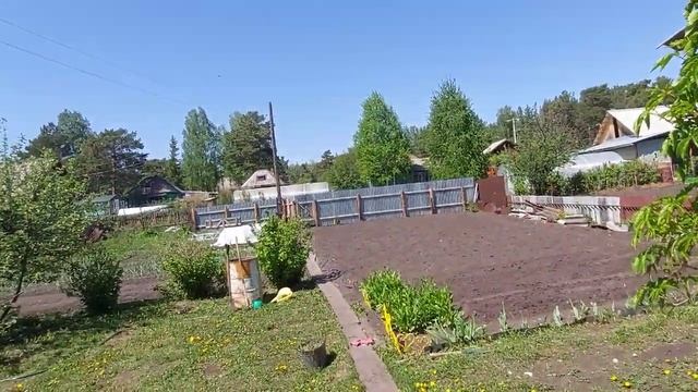 Много бабочек?Наша дача. ?#дача #бабочки #нашадача