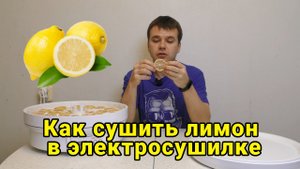 Как сушить лимон в электросушилке
