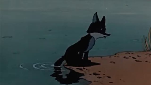 1956 год   Шакаленок и верблюд