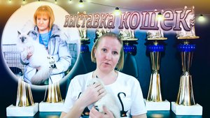 Сибирские Невские Маскарадные Кошки - Зачем ходят на выставку кошек ?