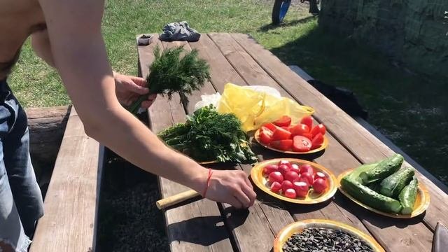 Агро-Эко туризм Саратовская область Энгельсский район село Новая Терновка