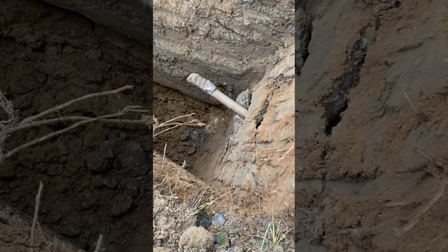 Вылетела как пуля #гнб #работа #залипалка #природа #подписка #тренды #вода #world #залипательное смотреть онлайн