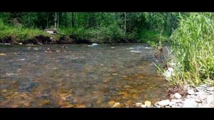 Верхняя Терсь. Осиновое Плесо. Июнь 2022