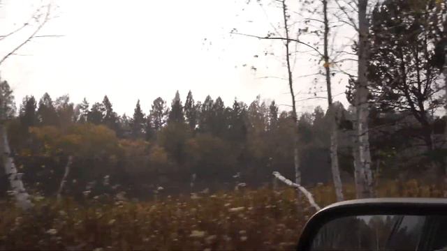 часть 2. Рыбалка нахлыст. Обратный путь домой. смотреть онлайн