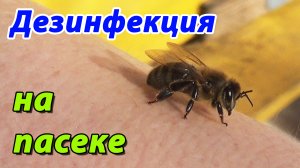 Дезинфекция пасеки. Методы дезинфекции. Об этом должен знать каждый пчеловод !