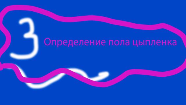 Топ 5 необычных профессий