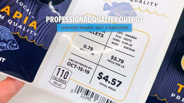 Afinia Label L801 / L801 Plus Commercial Color Label Printer - Overview смотреть онлайн