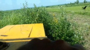 Кировец. Расчистка поля. БДТ-6ПР.